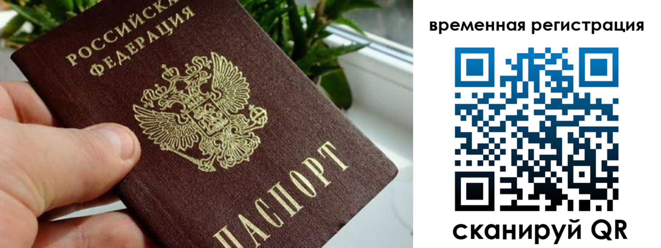 прописка поиск в Заполярном